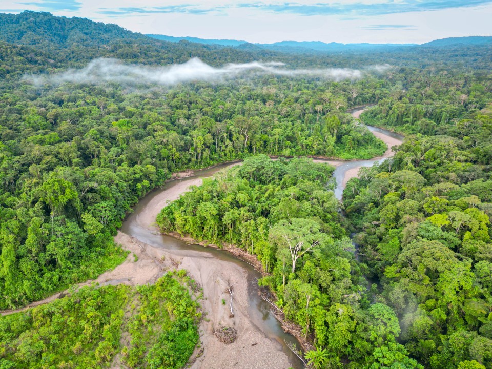 Primo giorno in Amazzonia