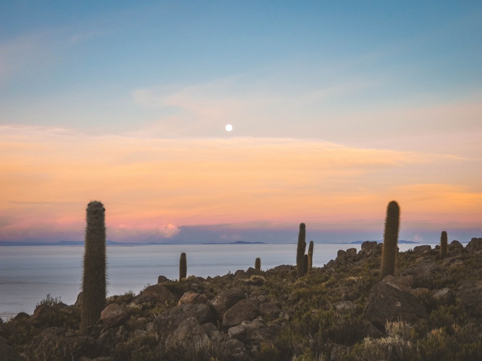 Salar de Uyuni - Ingresso e Isla Incahuasi