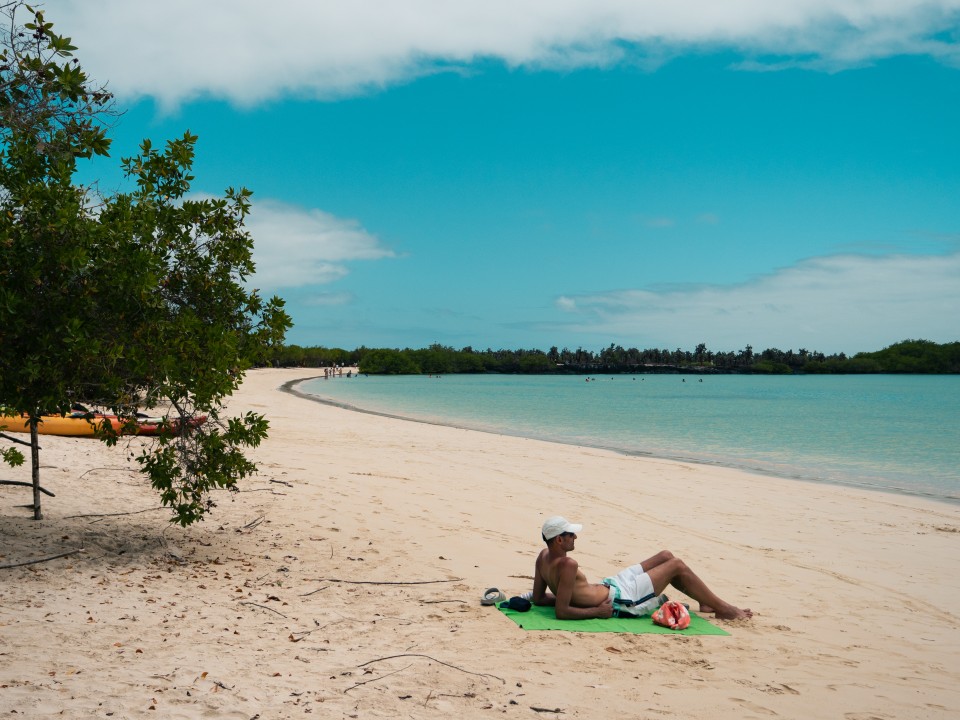 Tortuga Bay - Santa Cruz