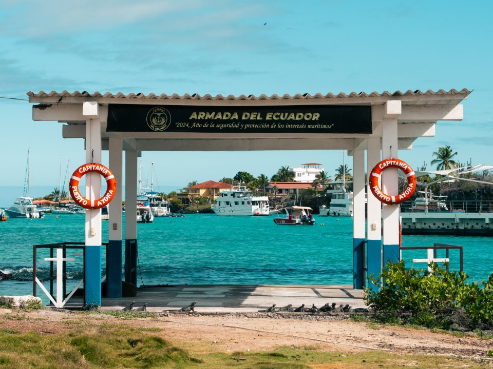 Puerto Ayora - Santa Cruz