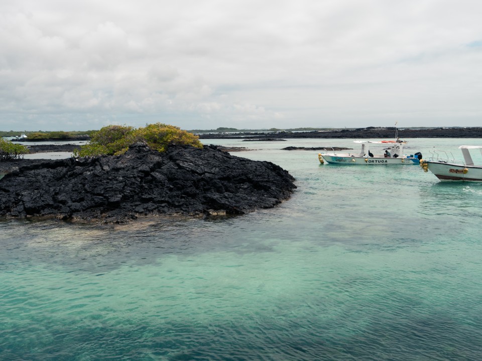 Tintoreras e Muro delle Lacrime - Isla Isabela, Galapagos