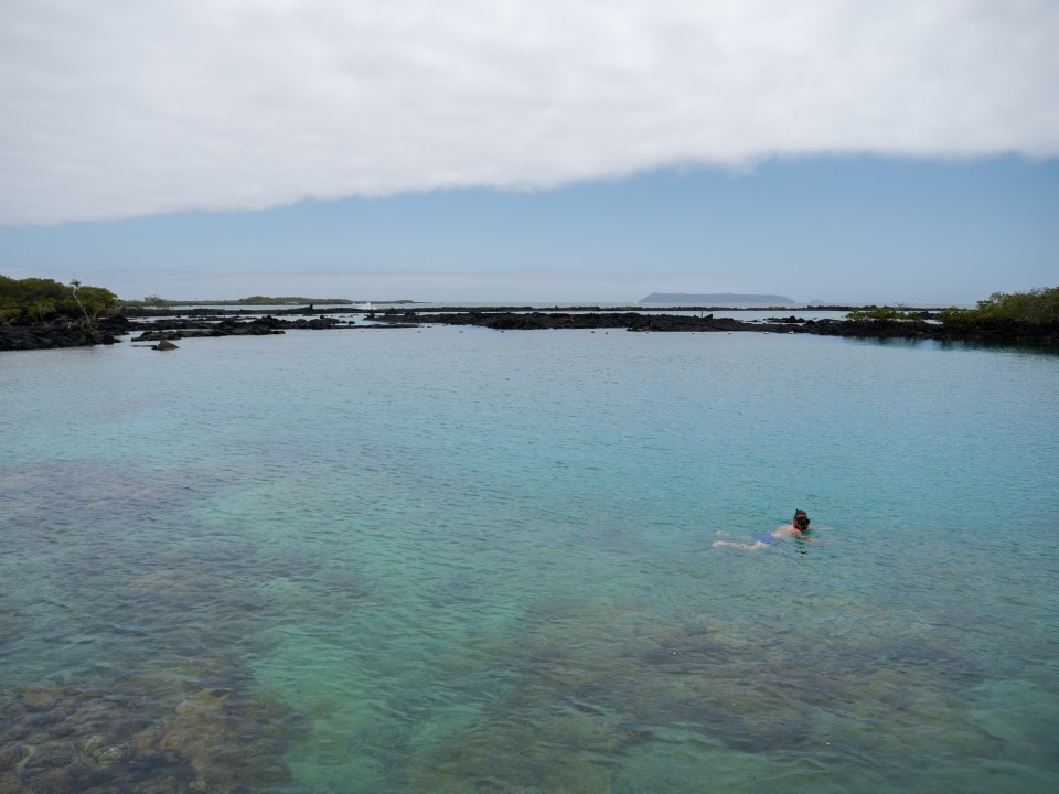 La pi&ugrave; bella delle GALAPAGOS - Viaggio a ISABELA