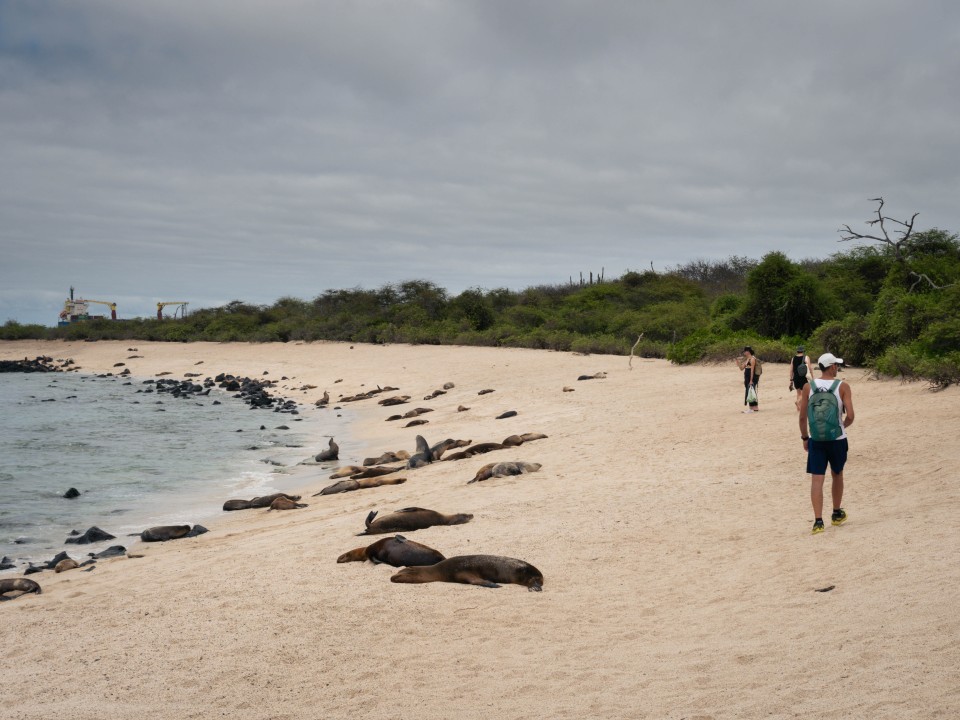 Playa Punta Carola - San Cristobal