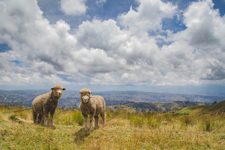 Vita rurale in una comunità indigena a 3600 m nelle Ande | VIAGGIO IN ECUADOR