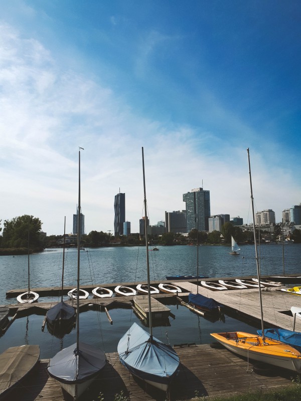 Le sponde del Danubio