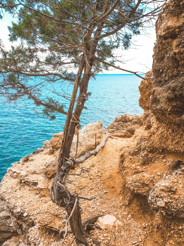 Trekking per Cala Mariolu