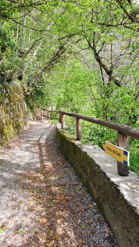 Sentiero nel bosco per raggiungere il ponte