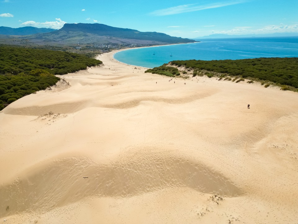 Duna de Bolonia