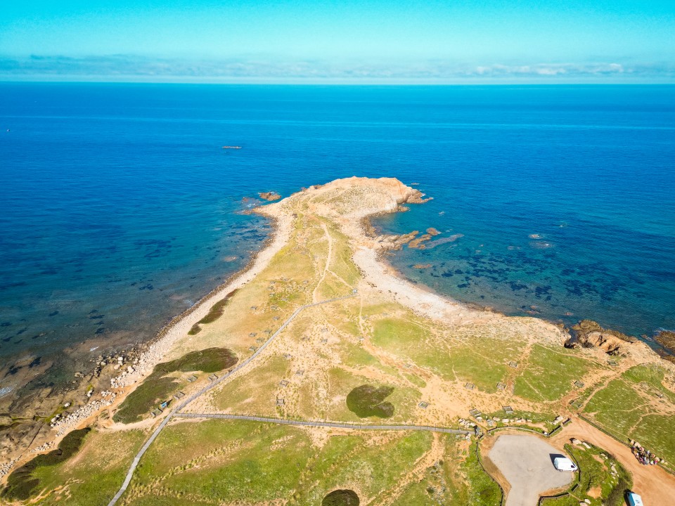 Capo Pecora