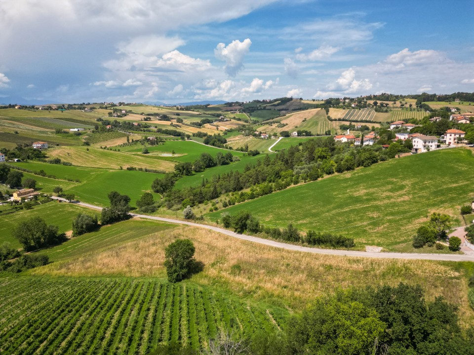 I colli marchigiani