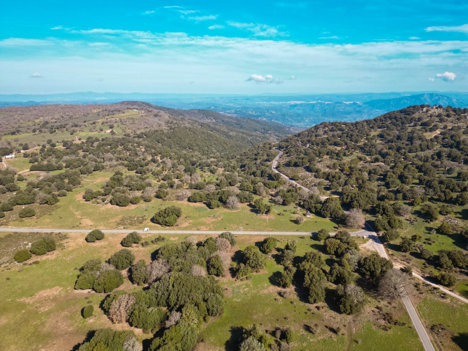 Panorami montani in Barbagia