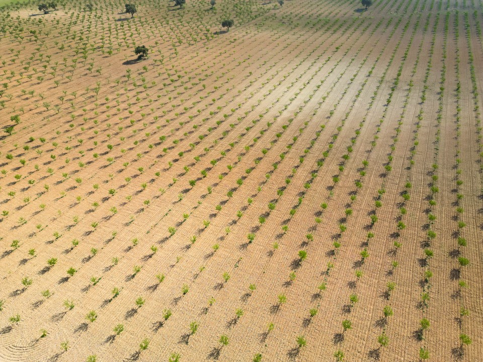 Deserto di Gorafe