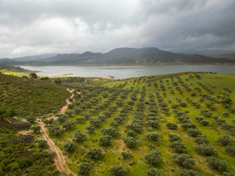 Embalse del Guadalhorce - Guadalteba