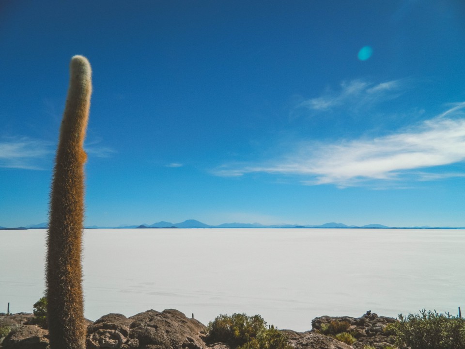 Isla Incahuasi