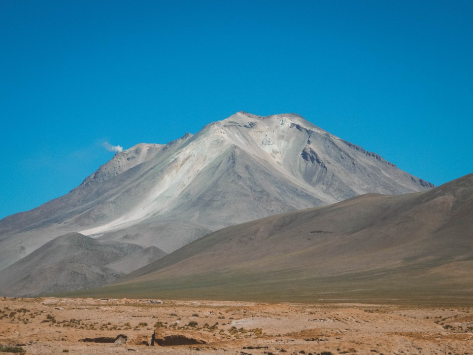 Lagune e Fenicotteri