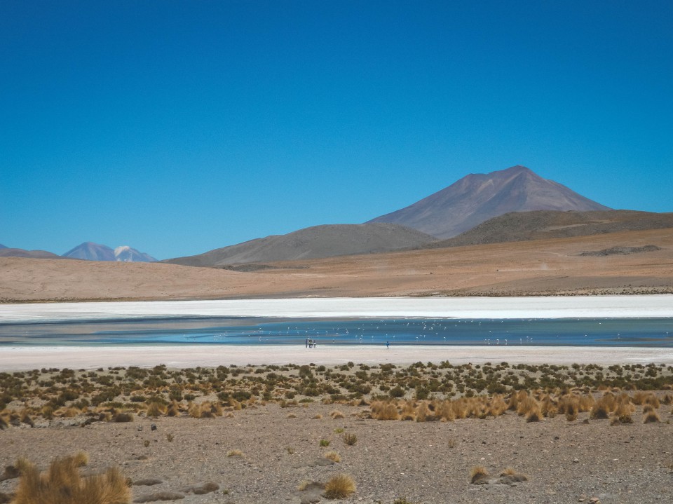 Lagune e Fenicotteri