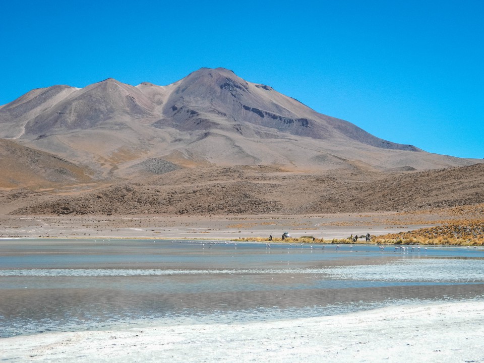 Lagune e Fenicotteri