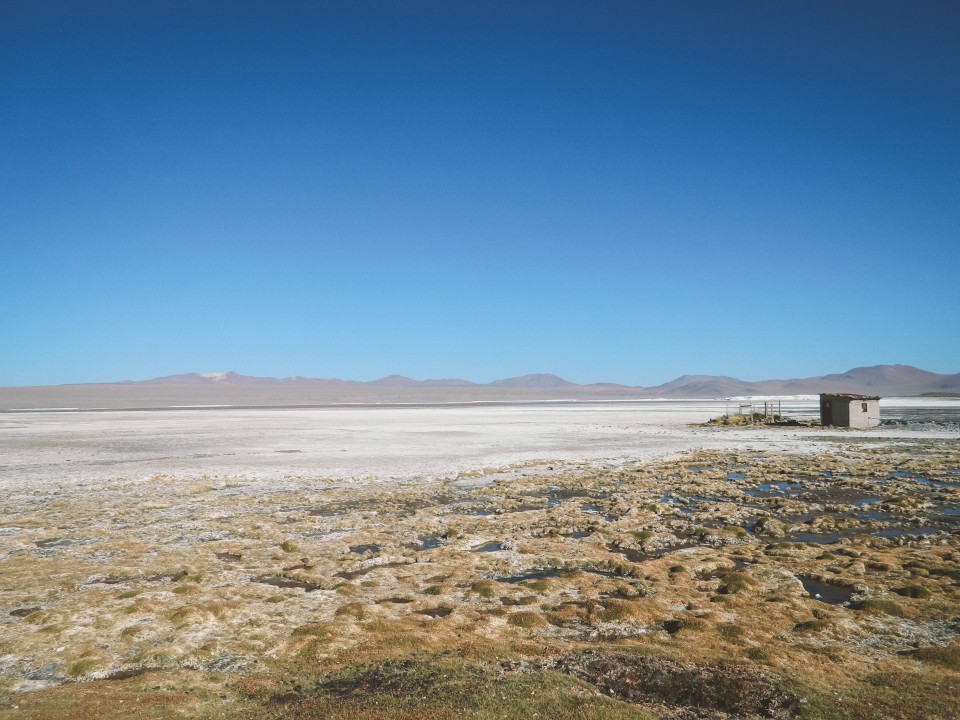 Laguna Colorada