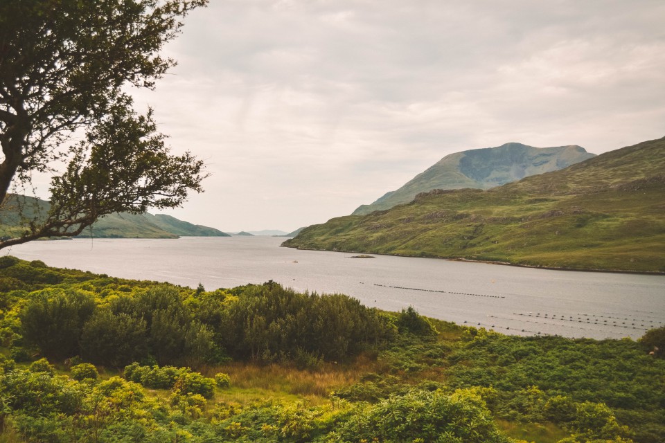 Connemara
