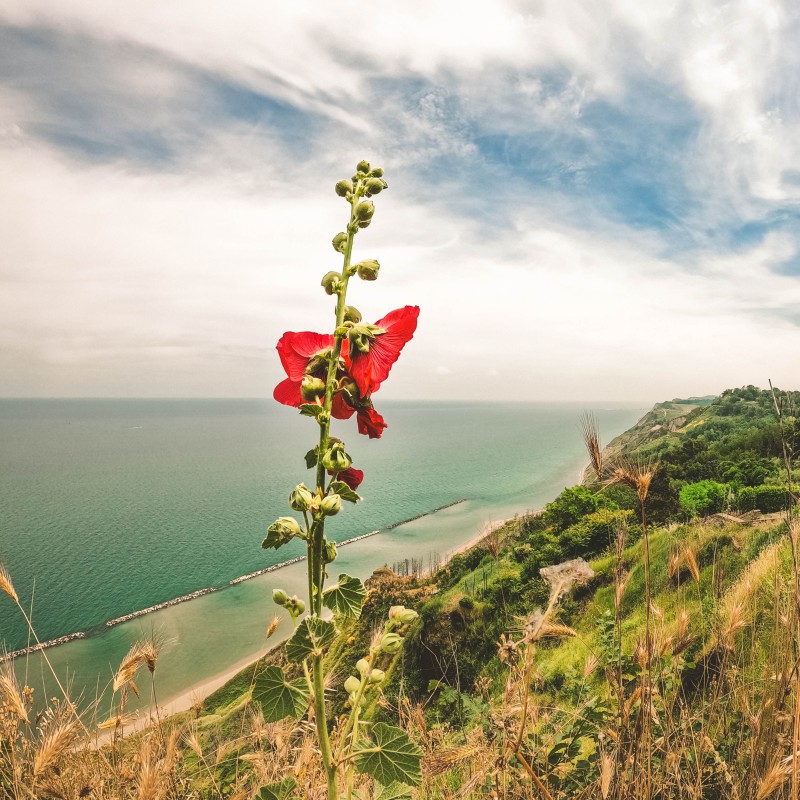 Panorama da Fiorenzuola di Focara