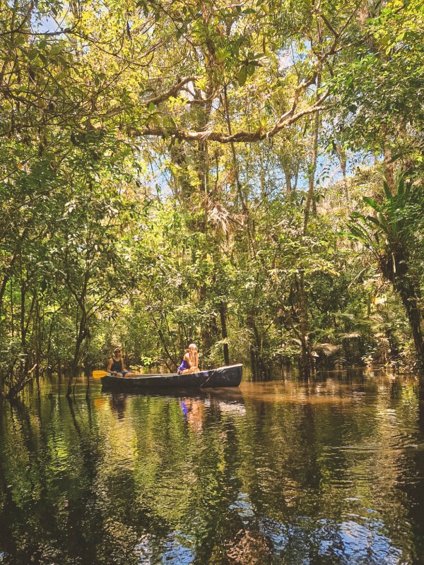 Escursione sul Rio Cuyabeno