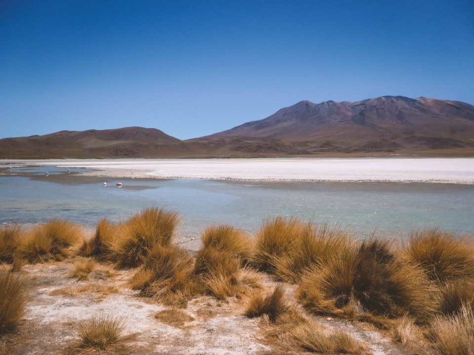 Lagune e Fenicotteri