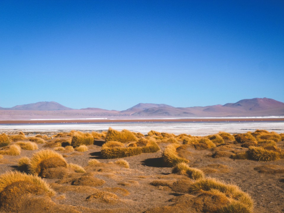 Laguna Colorada