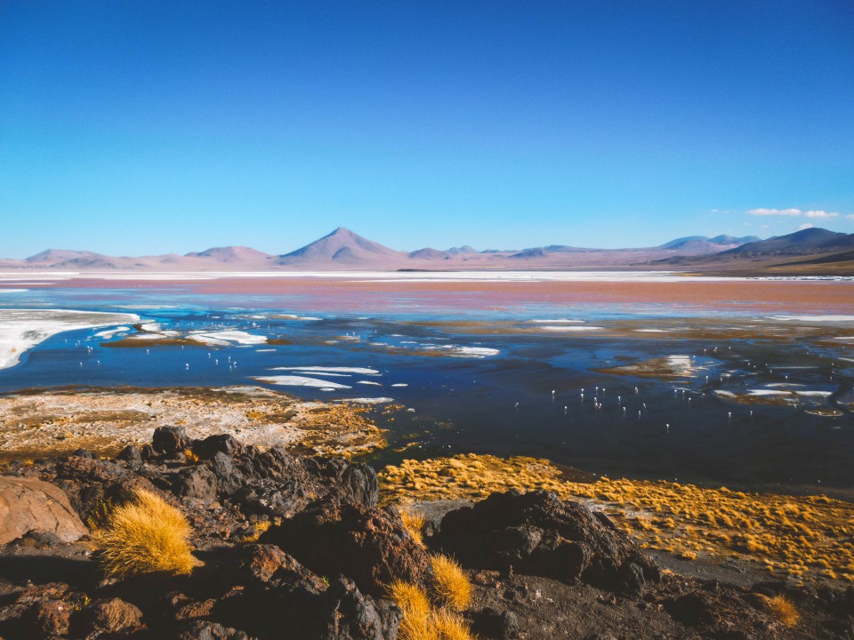 Laguna Colorada