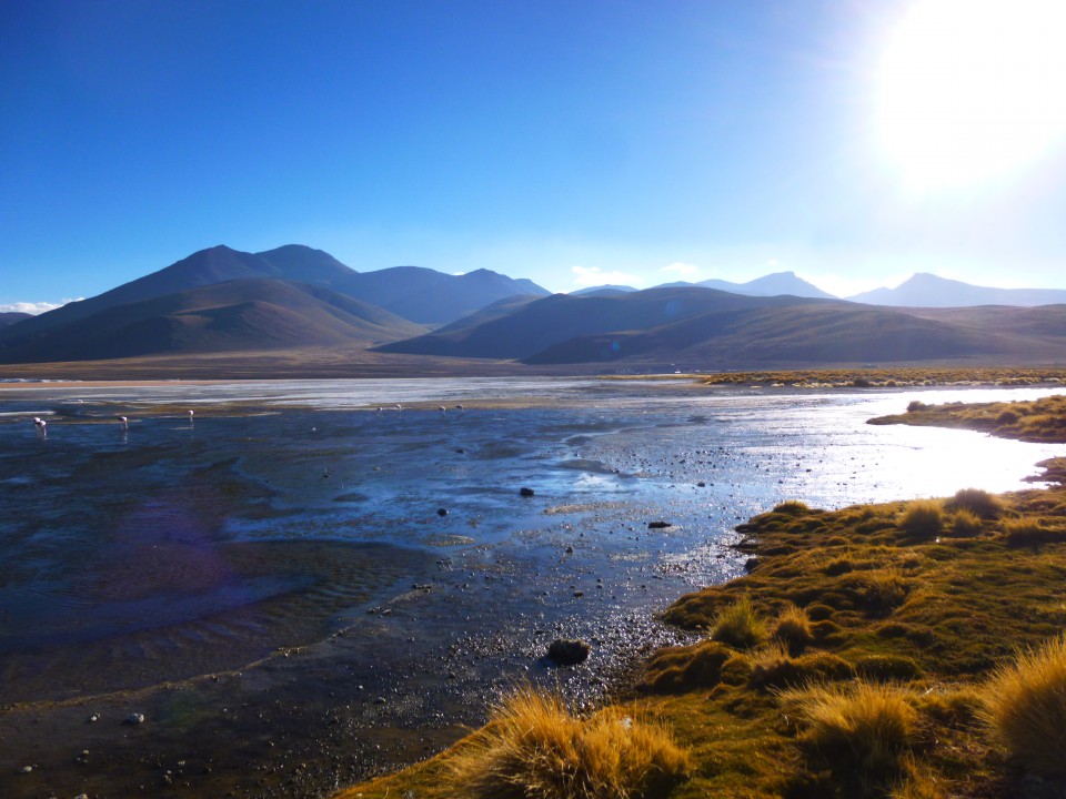 Laguna Colorada