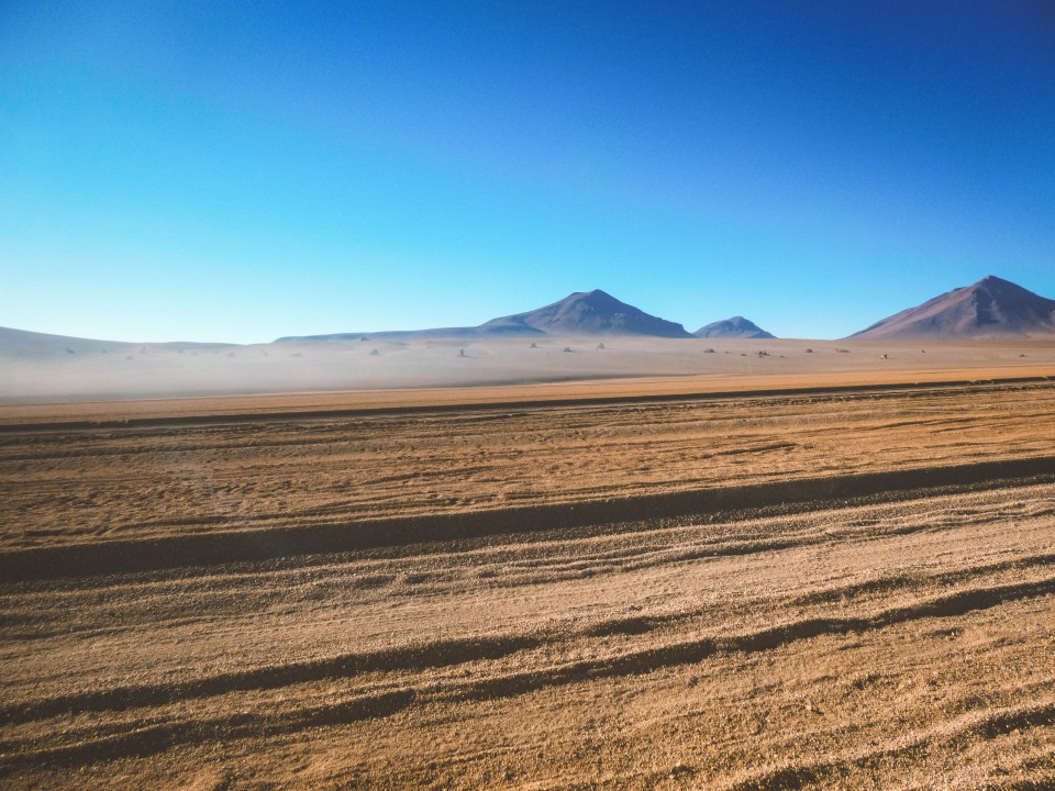 Deserto Salvador Dalì