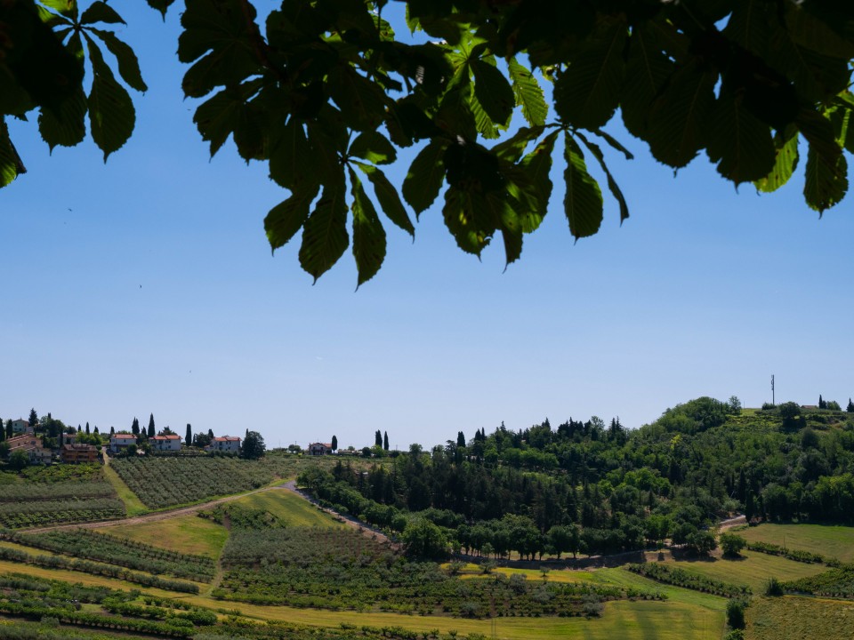 Colli romagnoli