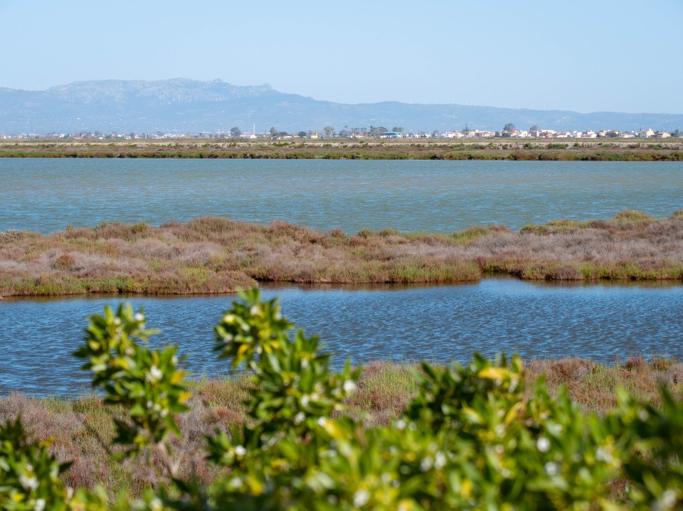Parco Naturale Delta dell'Ebro
