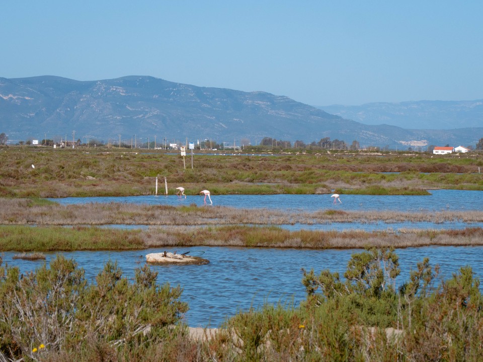 Parco Naturale Delta dell'Ebro