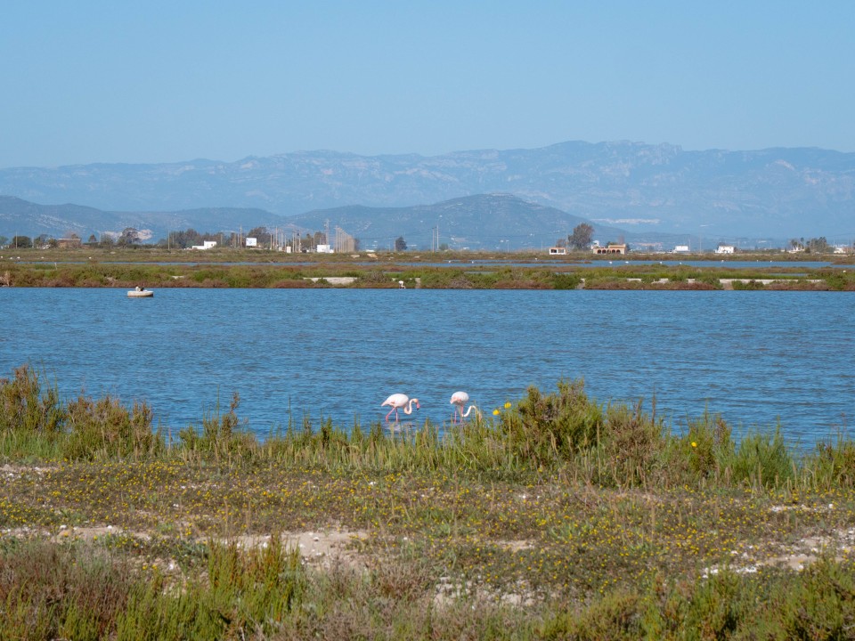 Parco Naturale Delta dell'Ebro