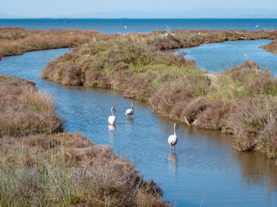 Parco Naturale Delta dell'Ebro