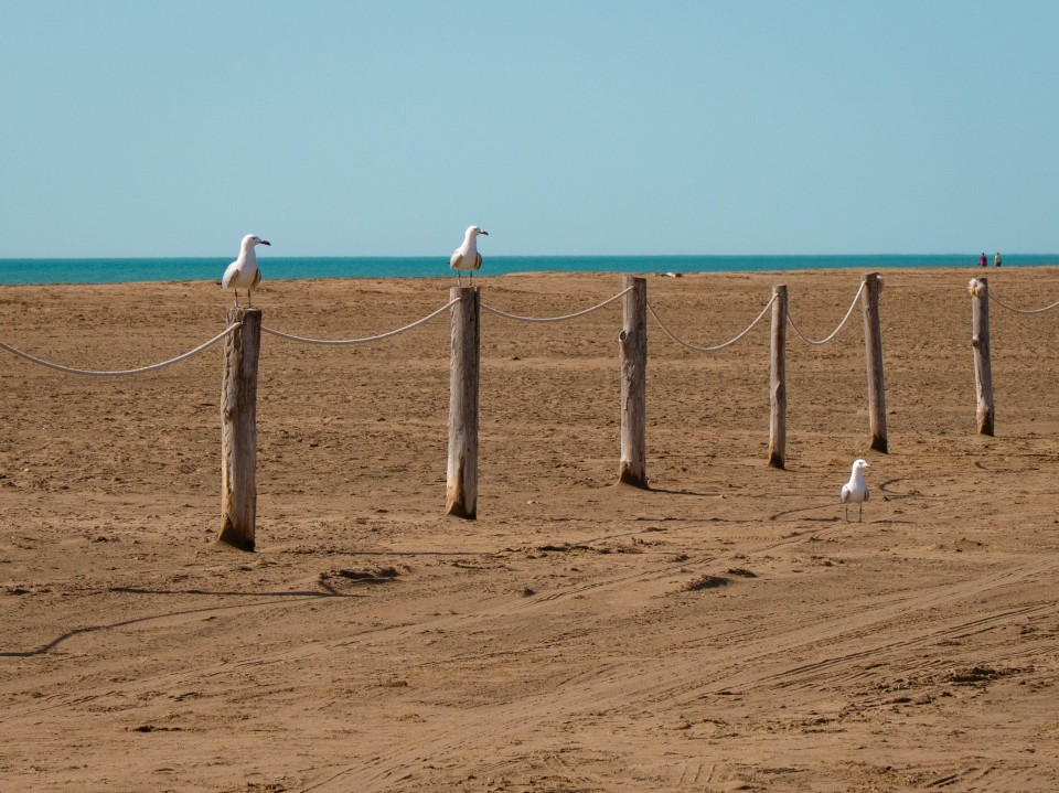 Playa del Trabucador