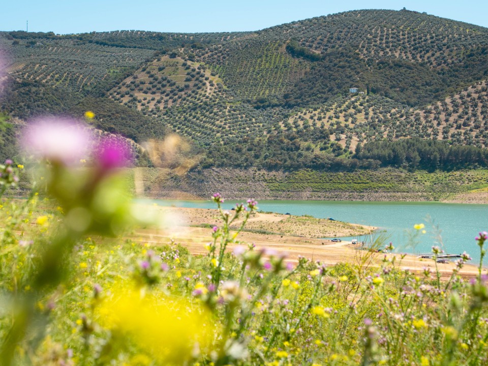 Playa de Valdearenas, Embalse de Iznajar