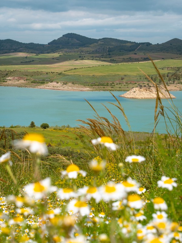 Embalse del Guadalhorce - Guadalteba
