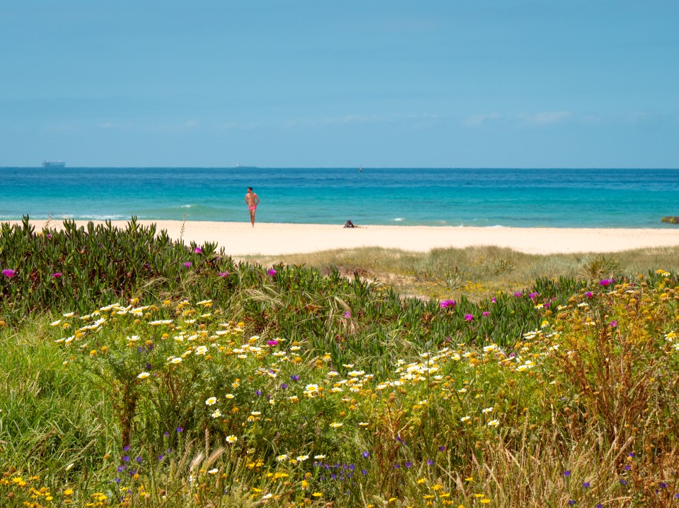 Spiaggia di Tarifa