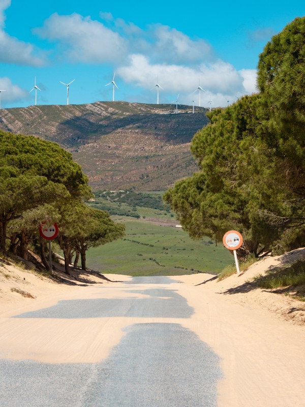 Duna de Valdevaqueros