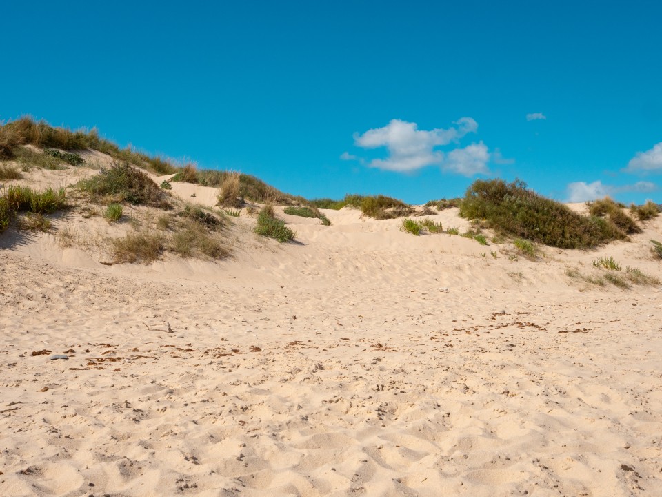 Duna de Valdevaqueros
