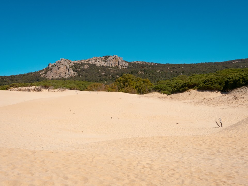 Duna de Bolonia