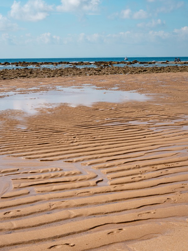 Bassa marea