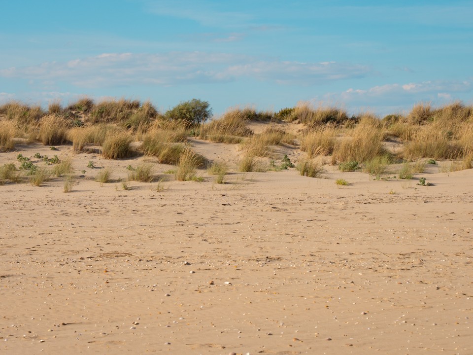 El Portil