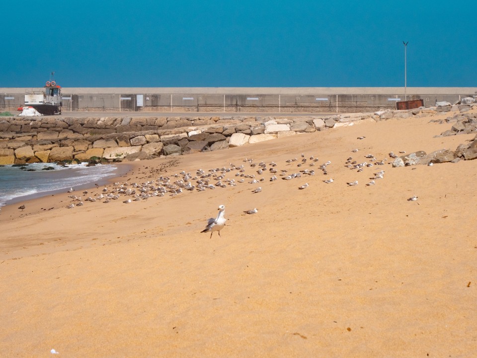 Praia dos Pescadores