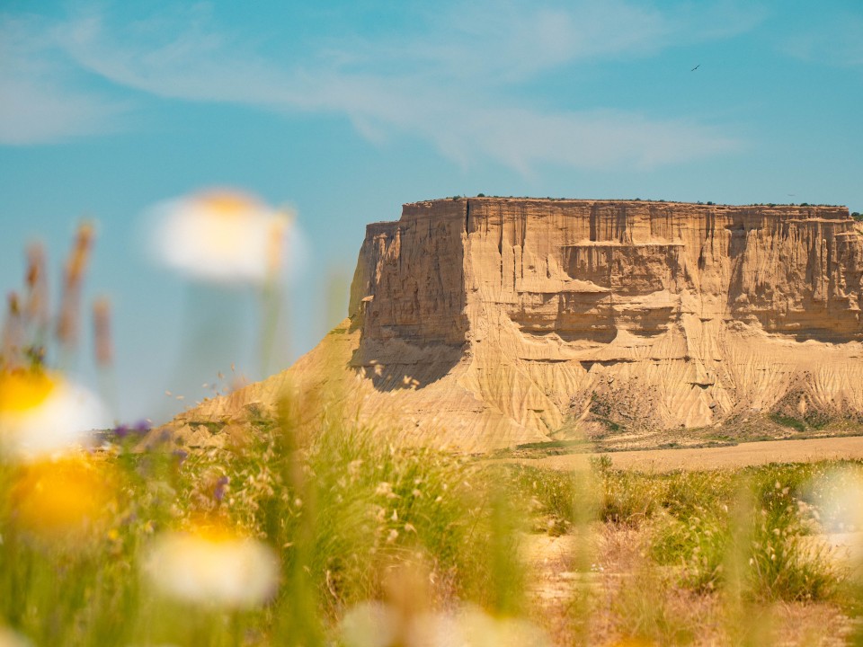 Bardenas Reales 