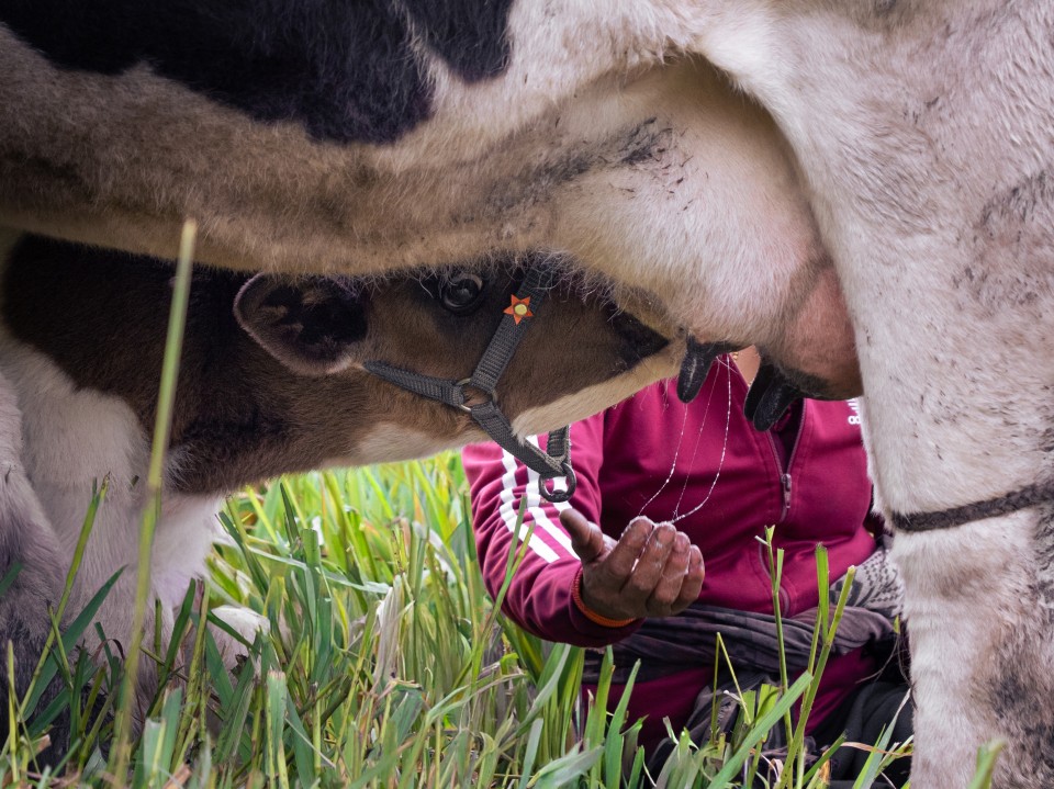 Villaggio andino La Esperanza Villaggio andino La Esperanza