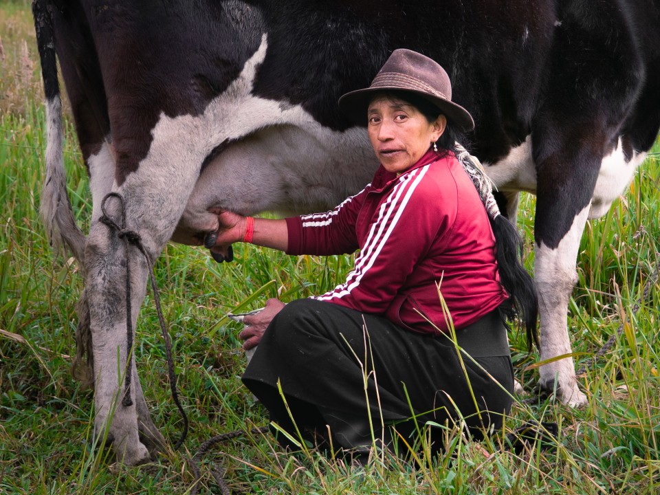 Villaggio andino La Esperanza Villaggio andino La Esperanza