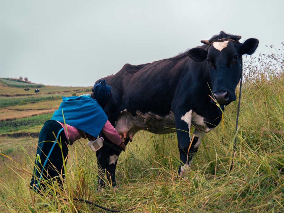 Villaggio andino La Esperanza