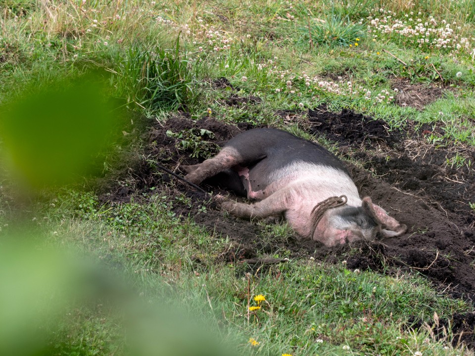 Villaggio andino La Esperanza